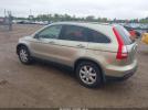 Honda CR-V Ex-l Image 5