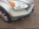 Honda CR-V Ex-l Image 8