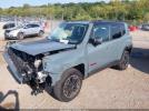 Jeep Renegade Trailhawk 4x4 Image 2