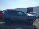 Jeep Renegade Trailhawk 4x4 Image 10