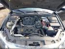 Ford Fusion Sel Image 6