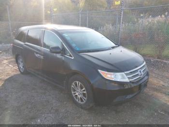  Salvage Honda Odyssey
