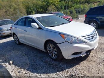  Salvage Hyundai SONATA
