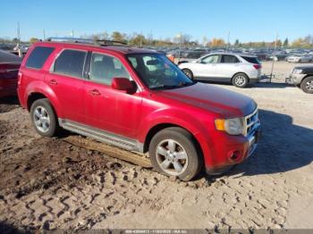  Salvage Ford Escape