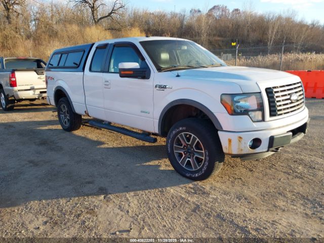 Ford F-150 Fx4 Image 1