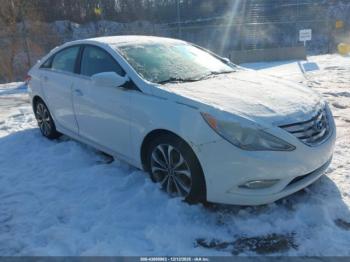  Salvage Hyundai SONATA