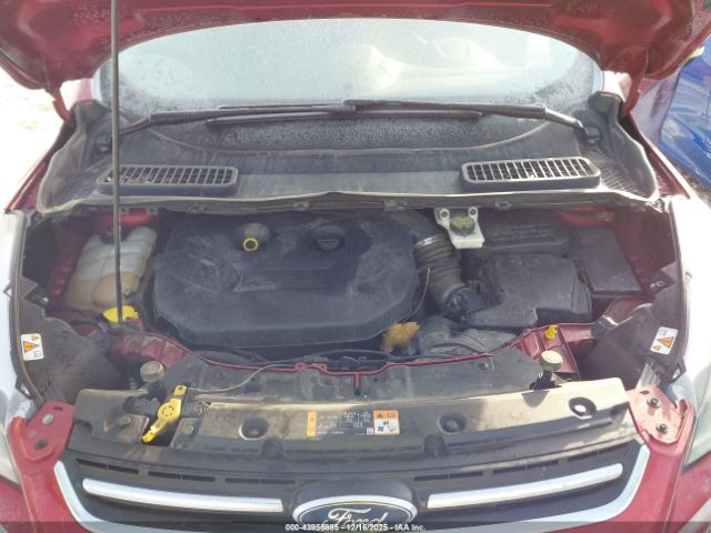 Ford Escape Titanium Image 9