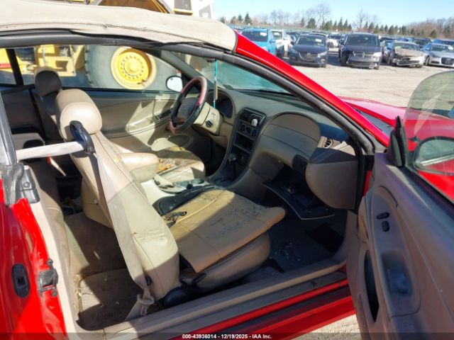 Ford Mustang Image 3