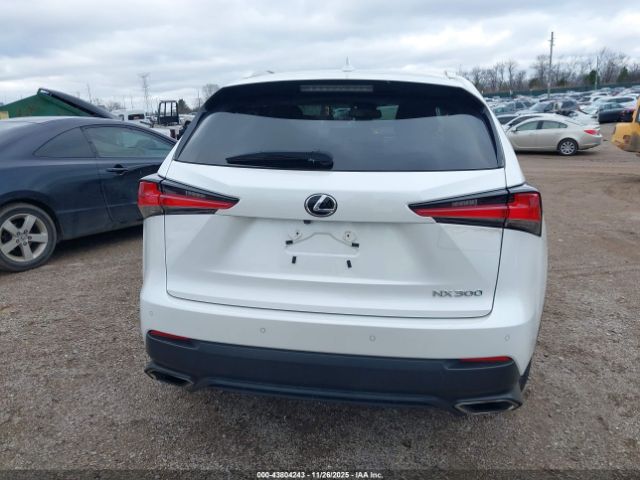Lexus NX Image 9