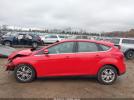 Ford Focus Sel Image 9