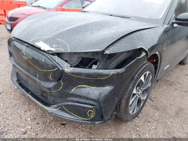 Ford Mustang Premium Image 3