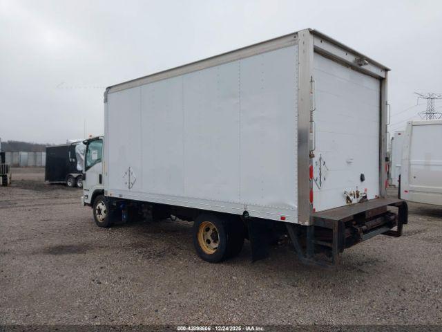 Isuzu Dsl Reg Image 3