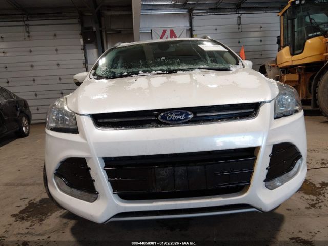 Ford Escape Titanium Image 9