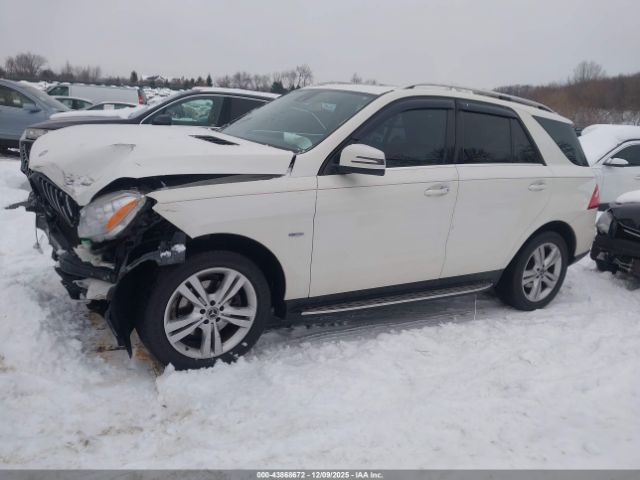 Mercedes-Benz M-Class 4matic Image 13