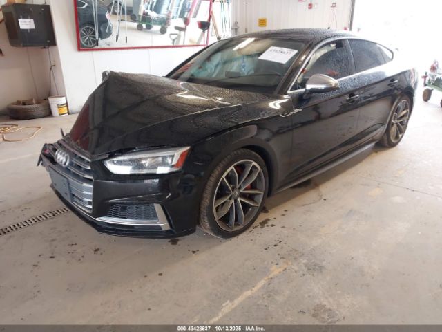 Audi S5 3.0t Premium Plus Image 15