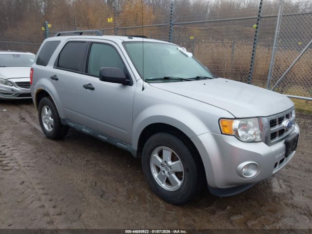 Ford Escape Xlt Image 1