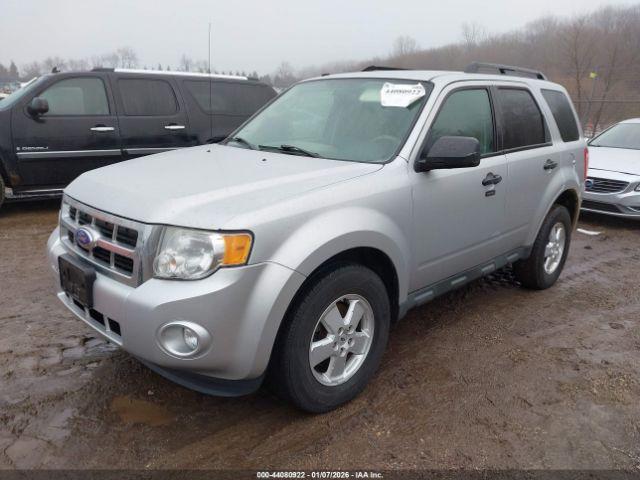 Ford Escape Xlt Image 4