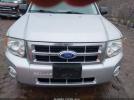 Ford Escape Xlt Image 11