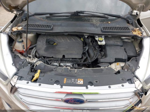 Ford Escape Se Image 8