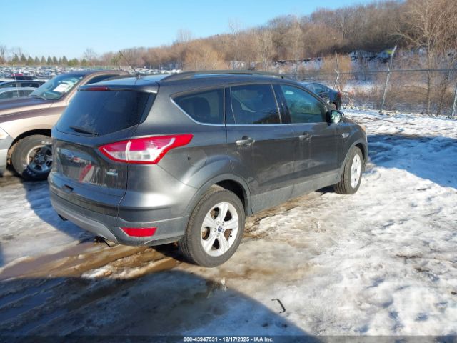 Ford Escape Se Image 5