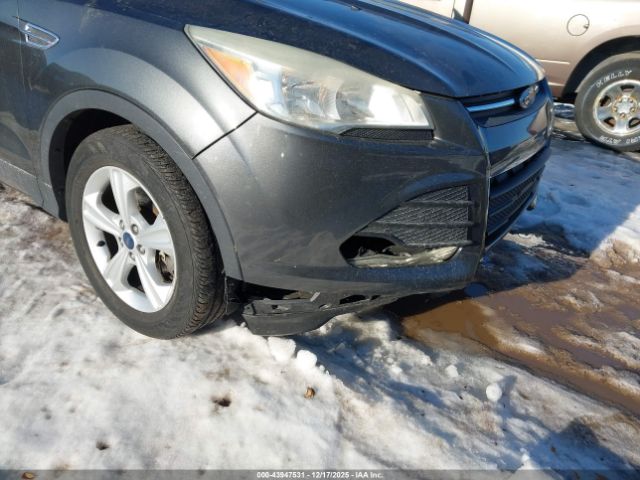 Ford Escape Se Image 9