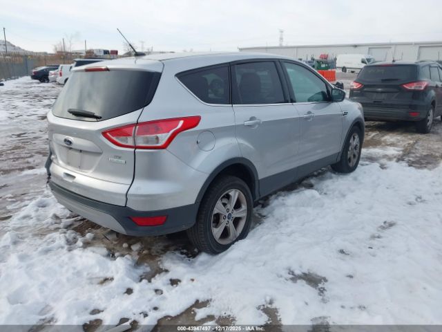 Ford Escape Se Image 11